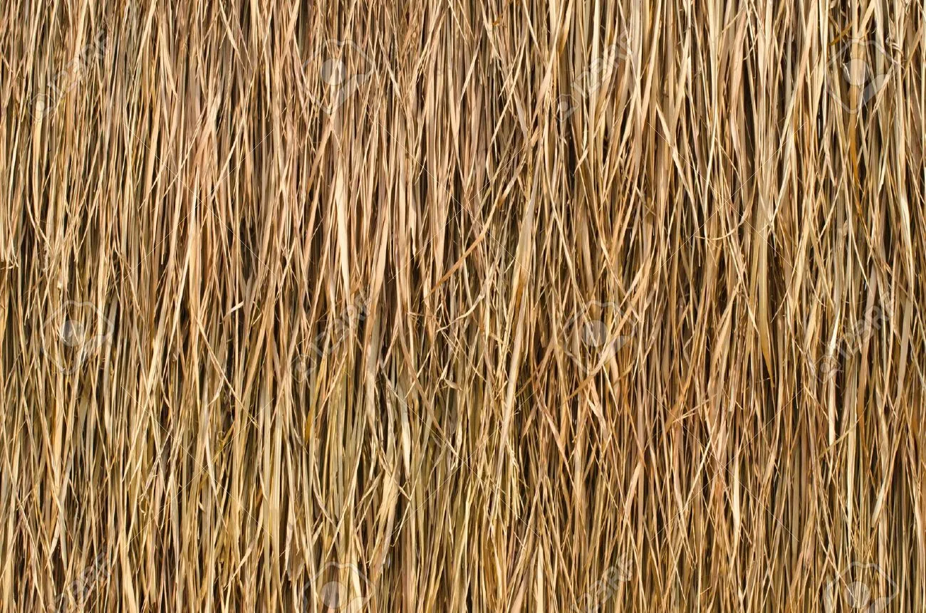 18048160-Thatched-roof-of-a-cottage-in-the-country--Stock-Photo-roof-straw-thatch.webp