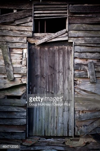 464712095-ruined-door-of-an-old-chicken-coop-gettyimages.webp