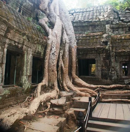 angkor-wat-discovery.webp