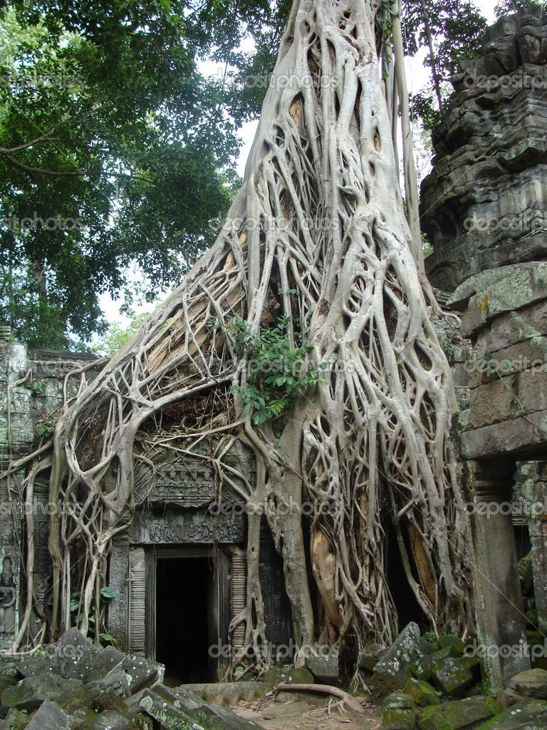 depositphotos_9631954-Angkor-wat-tree.webp