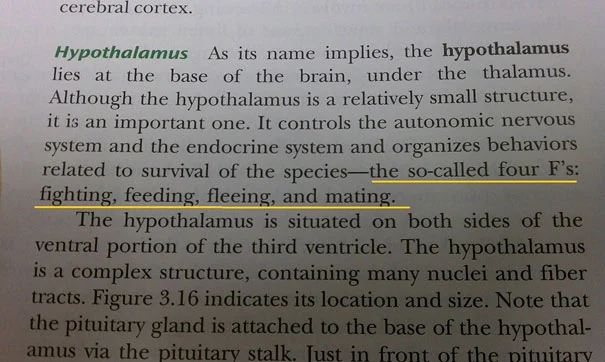 funny-textbook-fails-31.webp