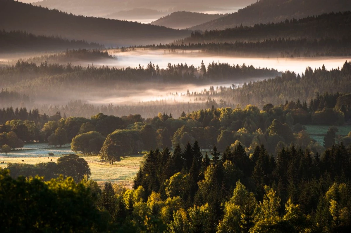 t-im-Nationalpark-Sumava_Uralte-Kulturlandschaft-inmitten-des-B%C3%B6hmerwalds_%C2%A9-B.-Fisc...webp