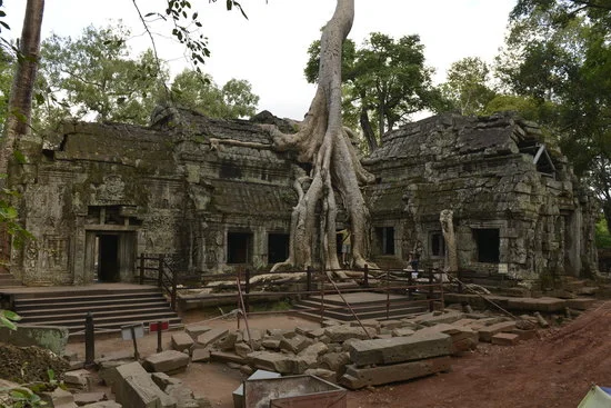 ta-prohm.webp