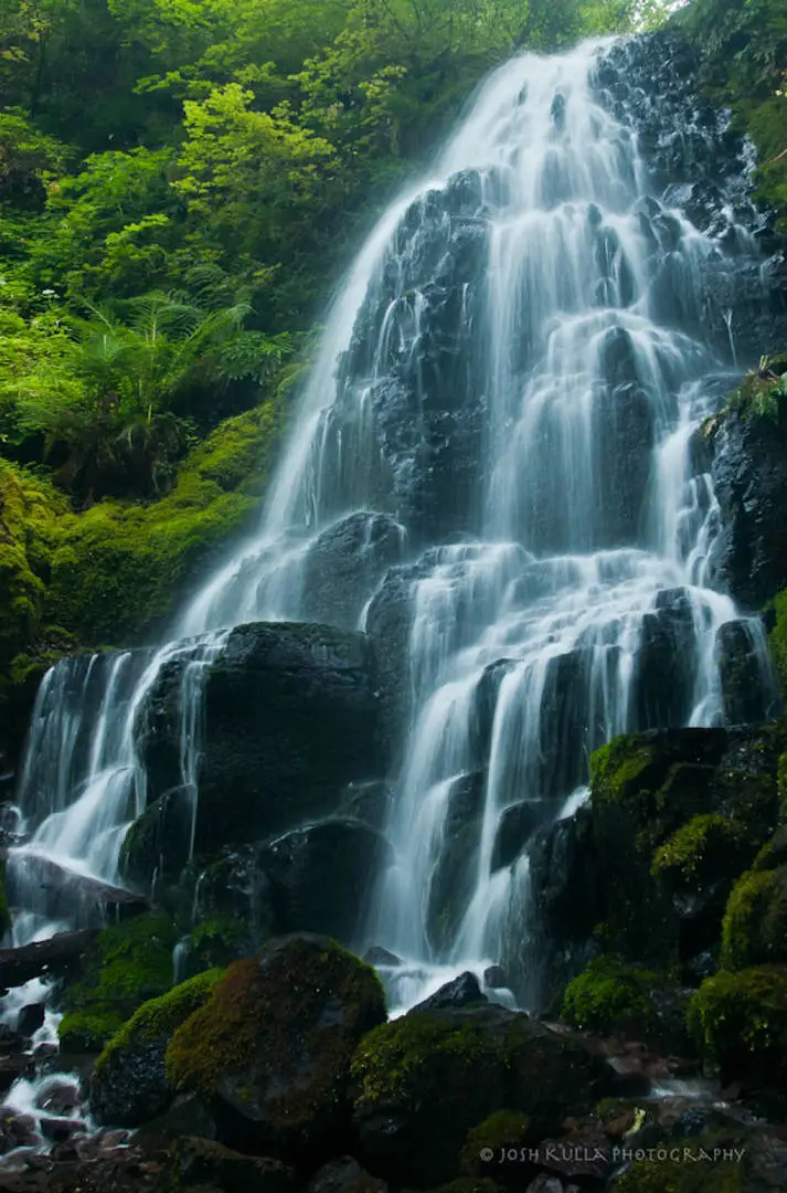 Waterfalls-3-Fairy-Waterfalls-Oregon-2.webp