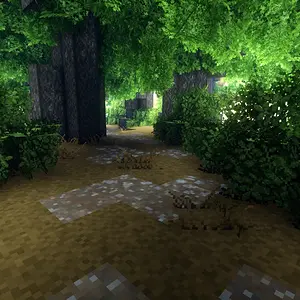 Forest Path