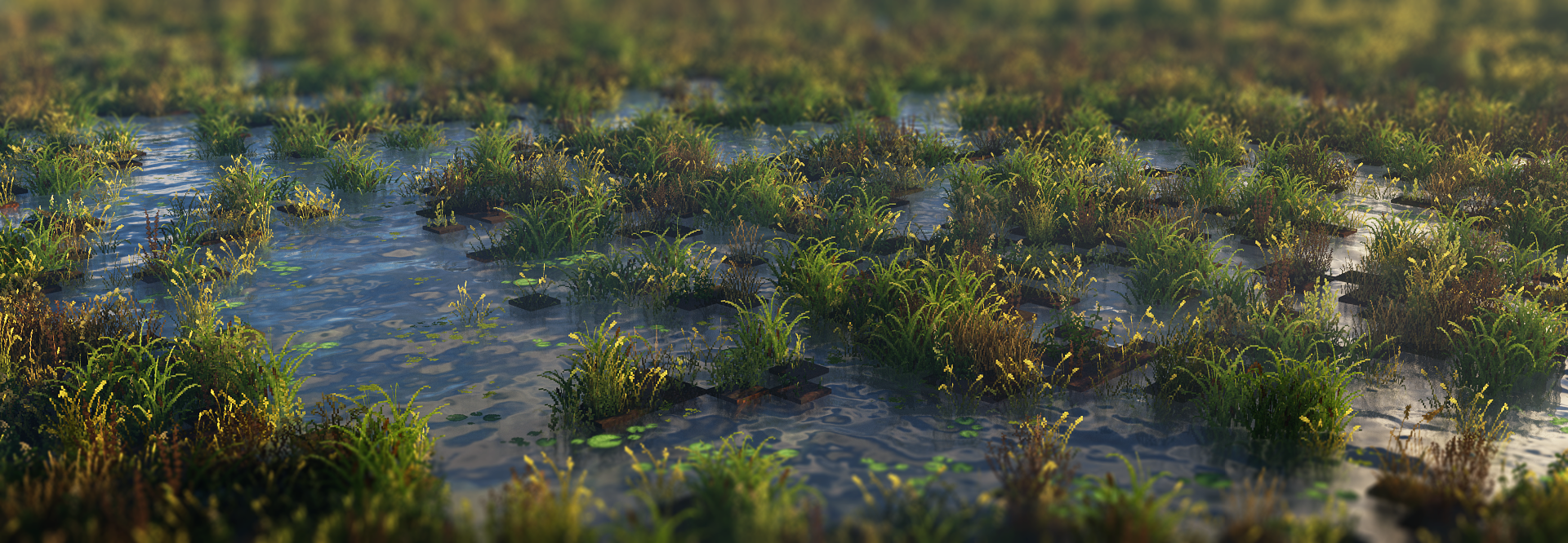 Xmine_Marshes_Somewhere.png